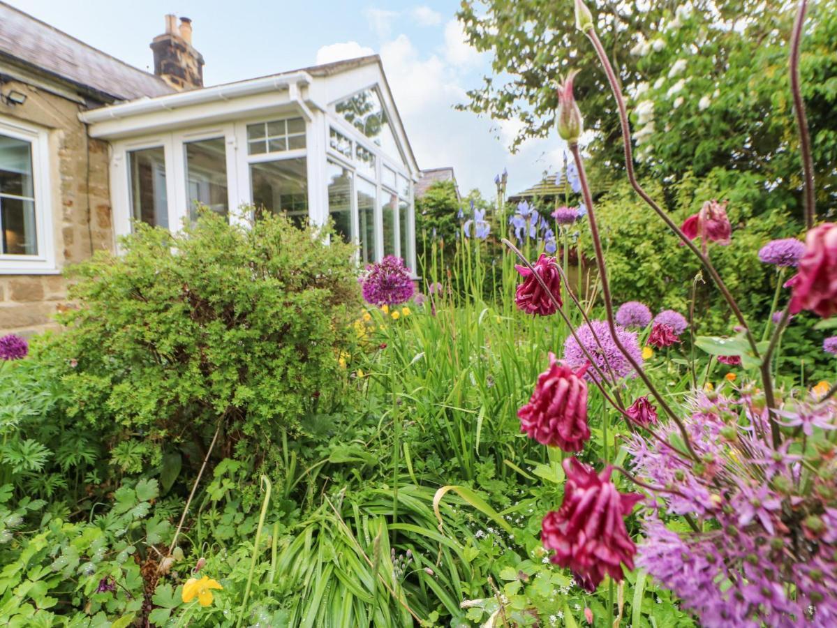 The Cottage, 5 Richley Terrace Newcastle upon Tyne Dış mekan fotoğraf